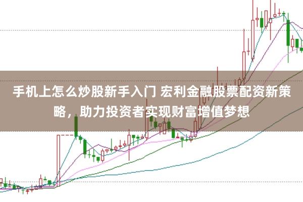 手机上怎么炒股新手入门 宏利金融股票配资新策略，助力投资者实现财富增值梦想
