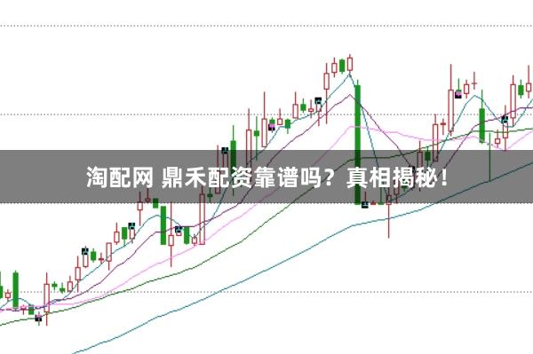 淘配网 鼎禾配资靠谱吗？真相揭秘！