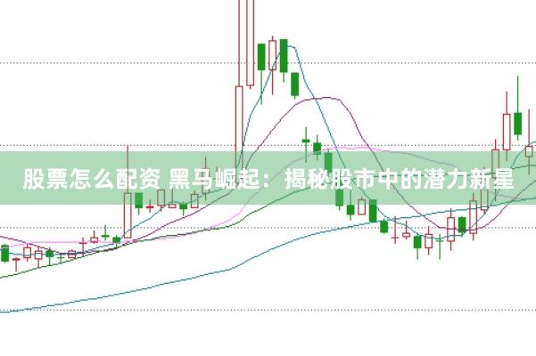 股票怎么配资 黑马崛起：揭秘股市中的潜力新星
