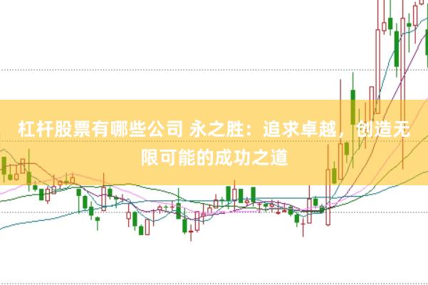 杠杆股票有哪些公司 永之胜：追求卓越，创造无限可能的成功之道
