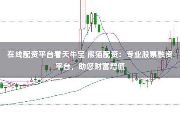 在线配资平台看天牛宝 熊猫配资：专业股票融资平台，助您财富增值