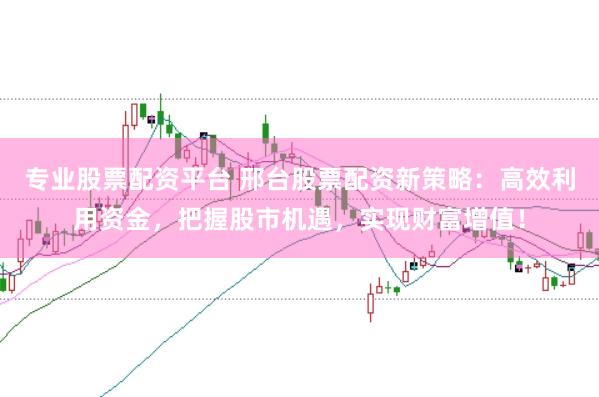 专业股票配资平台 邢台股票配资新策略：高效利用资金，把握股市机遇，实现财富增值！