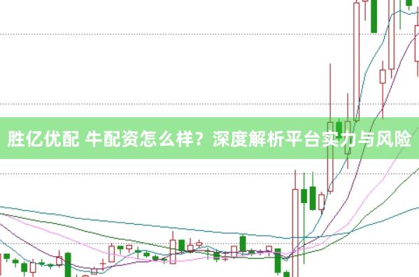胜亿优配 牛配资怎么样？深度解析平台实力与风险