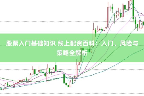 股票入门基础知识 线上配资百科：入门、风险与策略全解析