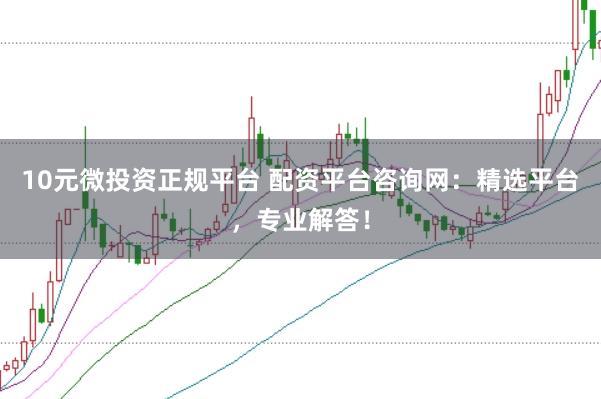 10元微投资正规平台 配资平台咨询网:精选平台,专业解答!