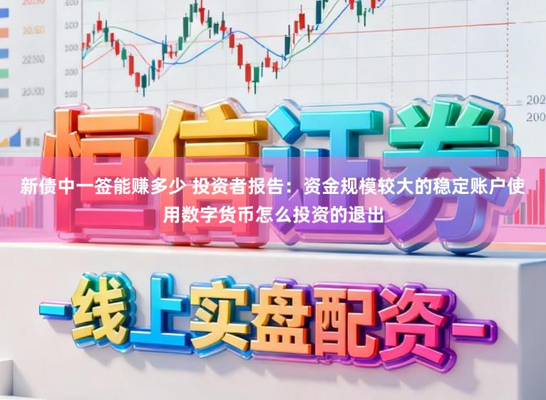 新债中一签能赚多少 投资者报告：资金规模较大的稳定账户使用数字货币怎么投资的退出