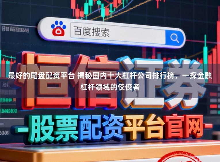 最好的尾盘配资平台 揭秘国内十大杠杆公司排行榜,一探金融杠杆领域的佼佼者